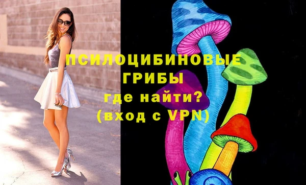 метадон Пересвет