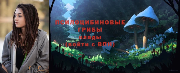 MESCALINE Переславль-Залесский