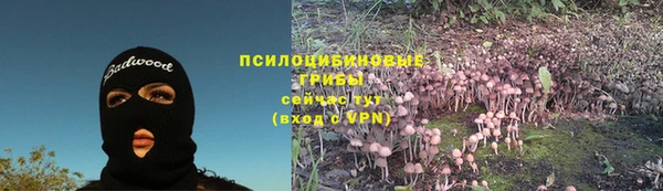 метадон Пересвет
