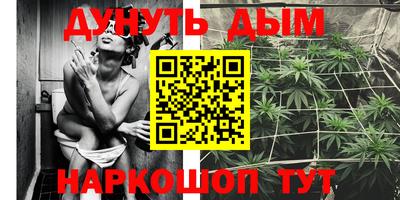 тгк Гусев