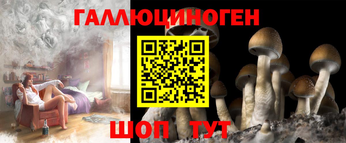 Псилоцибиновые грибы мицелий  Псилоцибиновые грибы прущие грибы  Сатка 